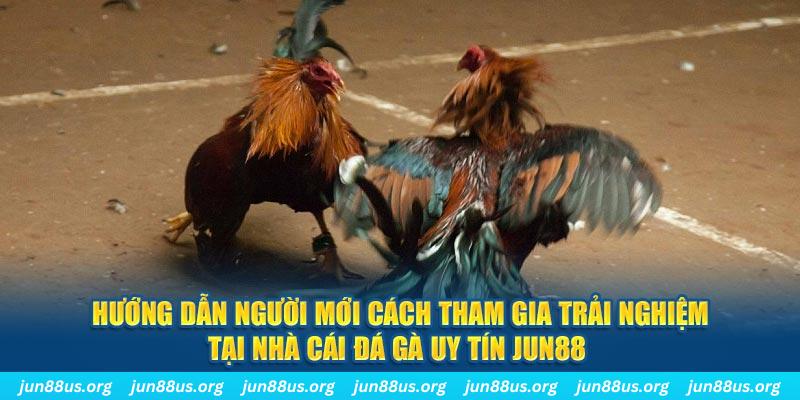 123bb CQ9 Điện Tử