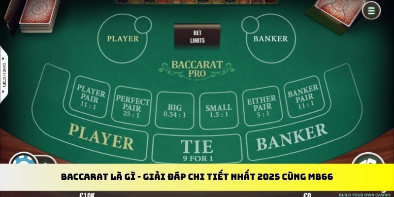 123bb gà chọi cu cần