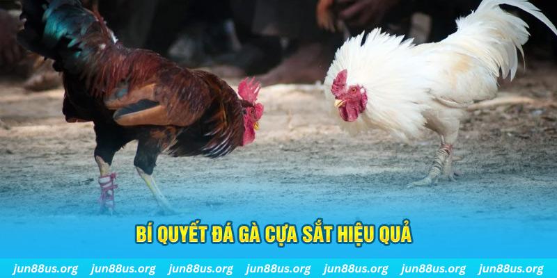 123bb xin 1 slot là gì
