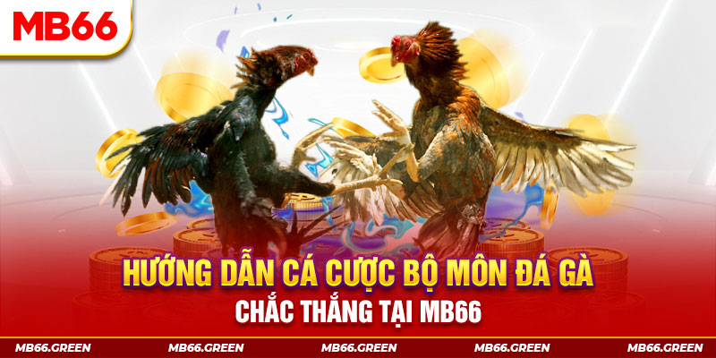 123bb bắn cá nổ hũ