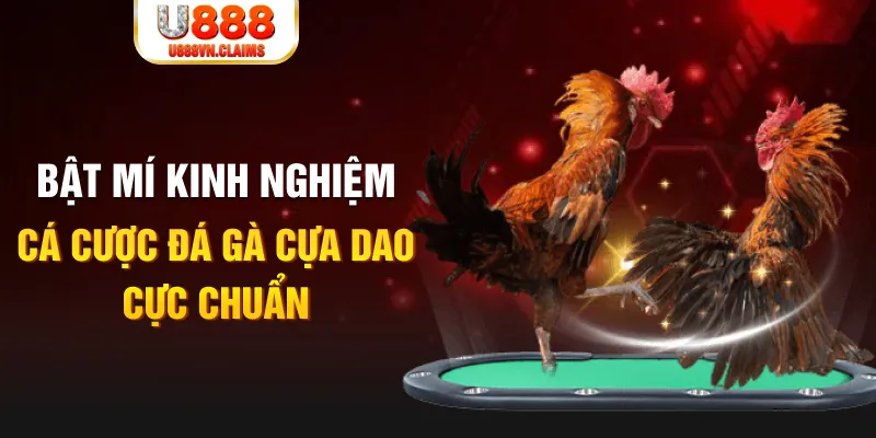 123bb tỷ lệ cá cược châu á là gì