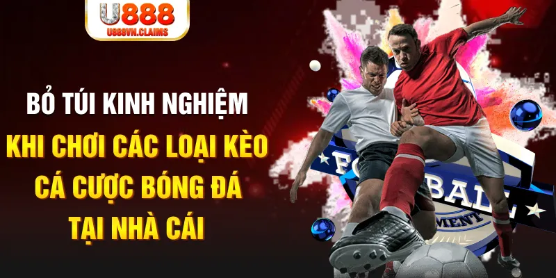 123bb Tài Xỉu