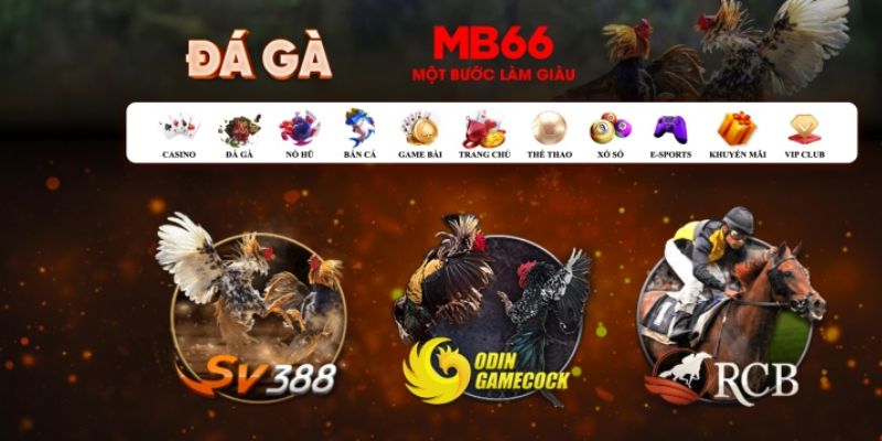 123bb đăng nhập poker số 1