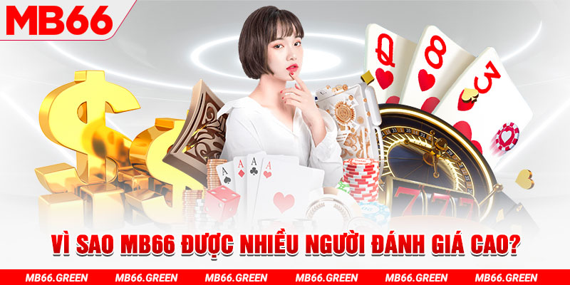 123bb đá gà
