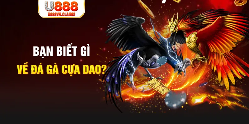 123bb nổ hủ là gì