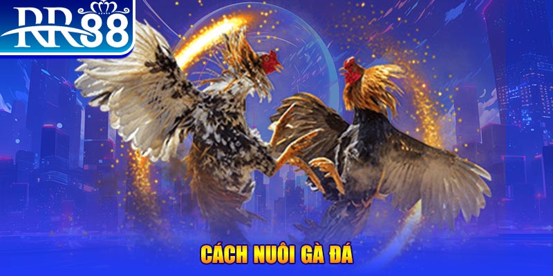 123bb xổ số an giang