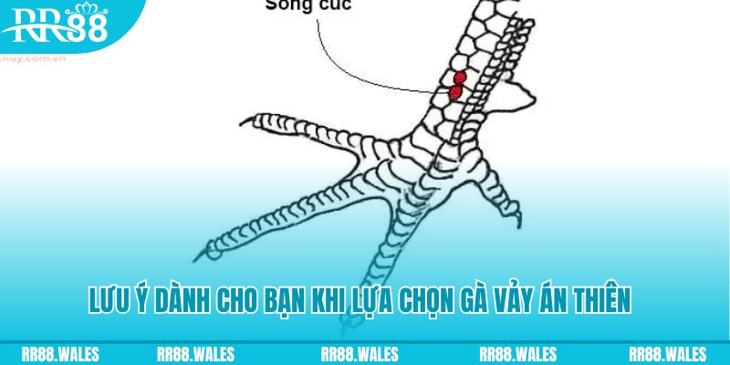 123bb xổ số đồng nai