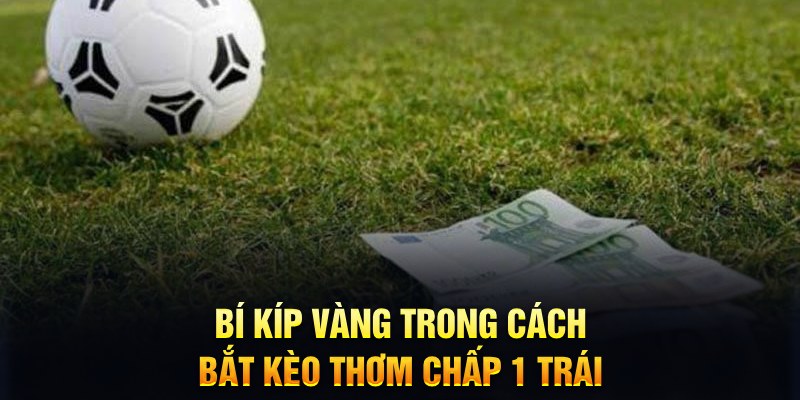 123bb sổ xô miên bắc