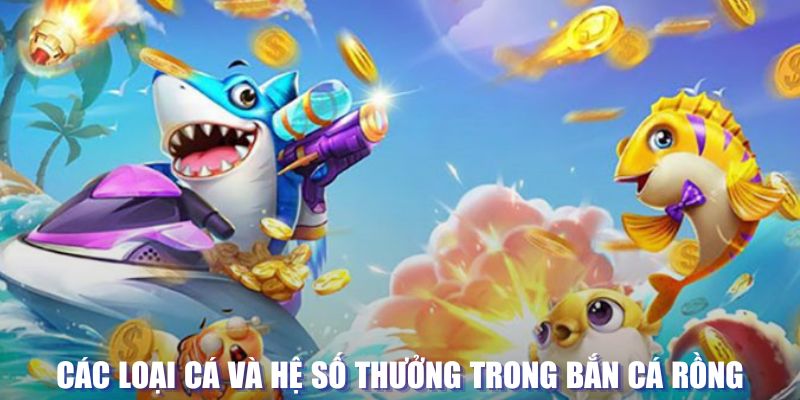 123bb đăng nhập sòng bạc mới nhất