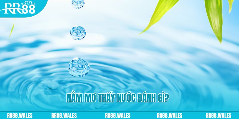 123bb TP Bắn cá