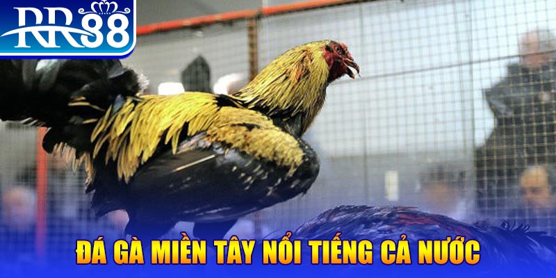 123bb JILI Game Bài 3d