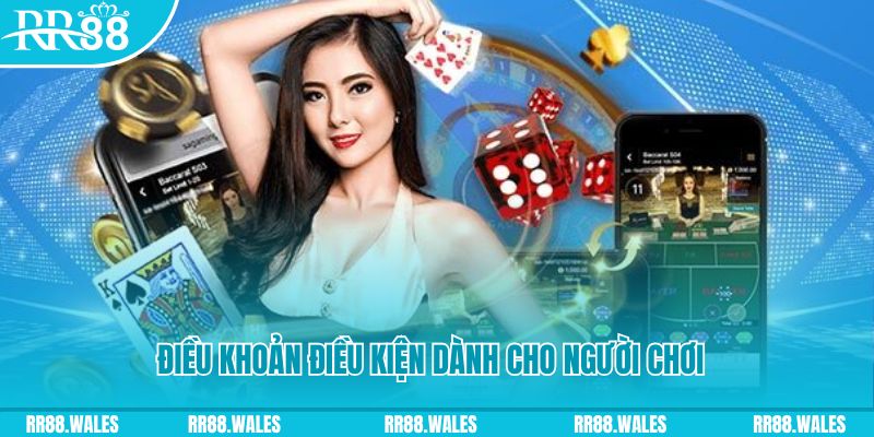 123bb casino gồm những gì