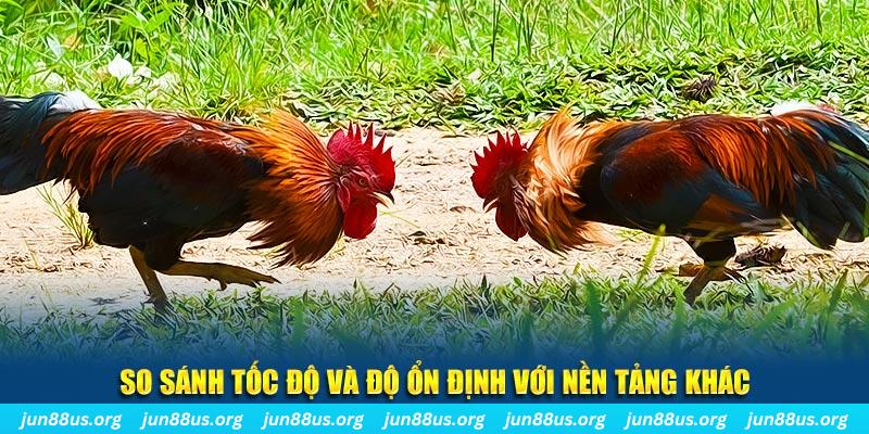 123bb đá gà hôm nay