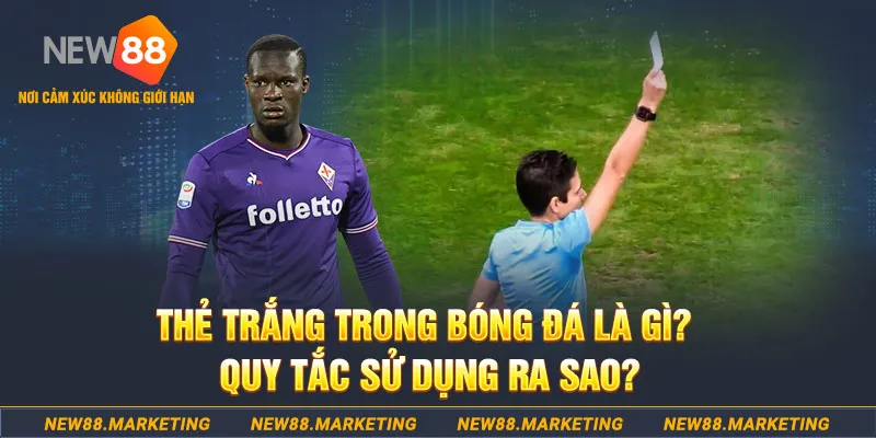 123bb gà chọi mộc hóa