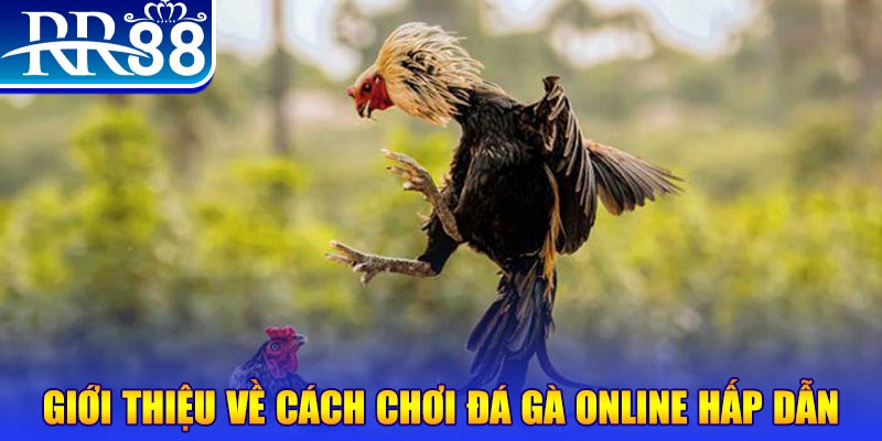 123bb game nổ hũ rút tiền mặt là gì