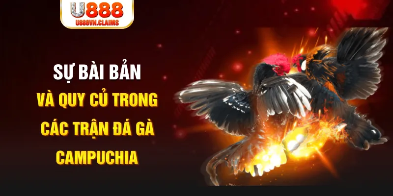 123bb YGR Điện Tử