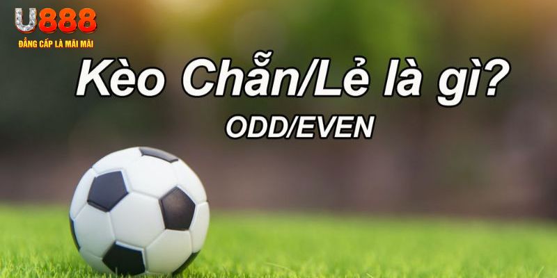 123bb đăng nhập poker hôm nay