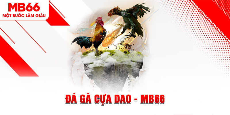 123bb đá gà sv388 gold