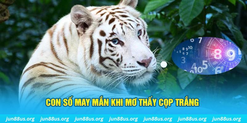 123bb đá gà trực tiếp 88